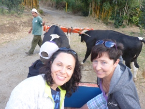 A ride in an "Ox Cart" pulled by two Holstein steers! Don Juan's Coffee Farm was THE best coffee, chocolate, and sugar cane tour we have ever been on! Go there!!