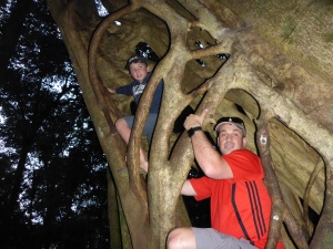 A Strangling Ficus tree... Lee and Maureen climbed up almost 100 ft to the top of the tree!!l